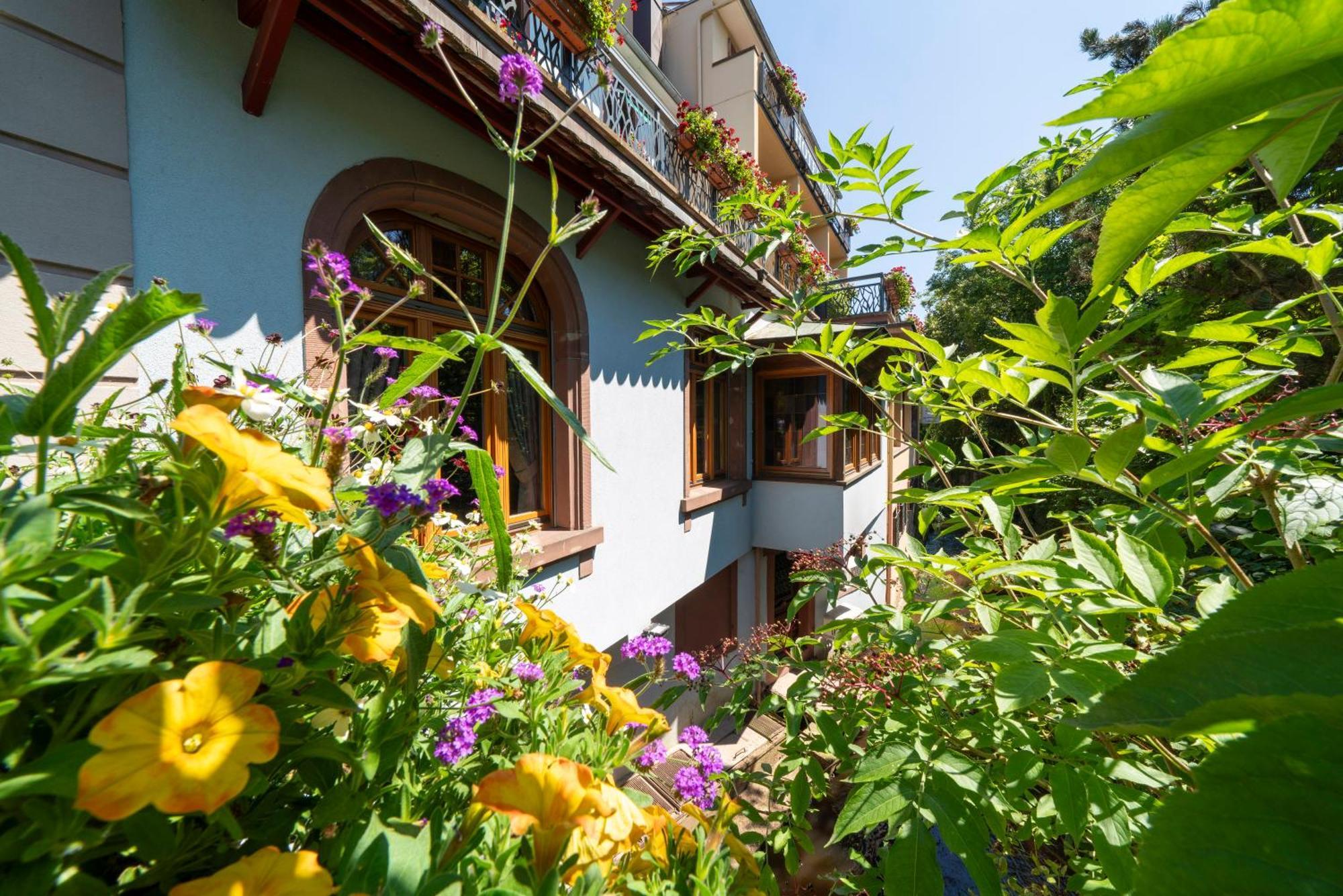 Hotel Du Parc, Restaurant, Spa & Wellness Niederbronn-les-Bains Exteriér fotografie